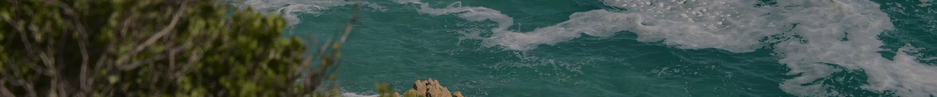 image de présentation